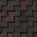 Black Oak